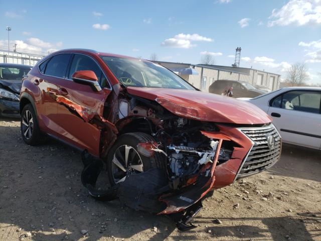 Lexus Nx 300 (2020)