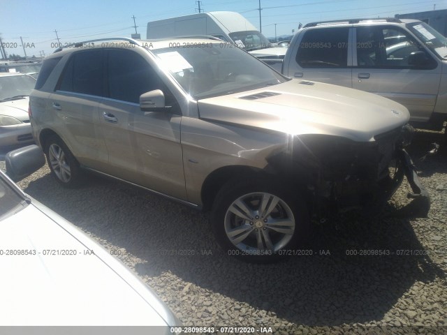 Mercedes-benz M-class (2012)