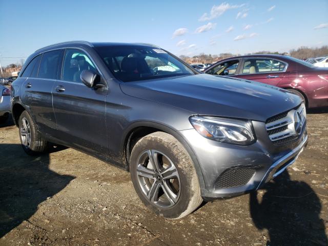 Mercedes-benz Glc 300 4m (2019)