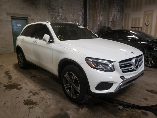 Mercedes-benz Glc 300 4m (2019)