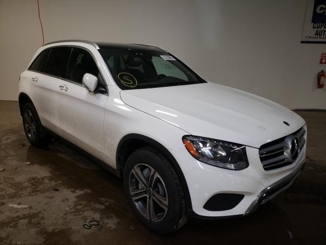 Mercedes-benz Glc 300 4m (2019)