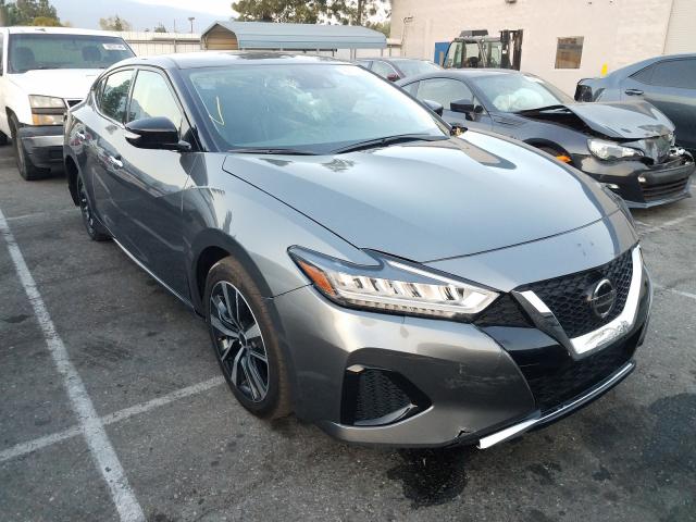 Nissan Maxima sv (2020)