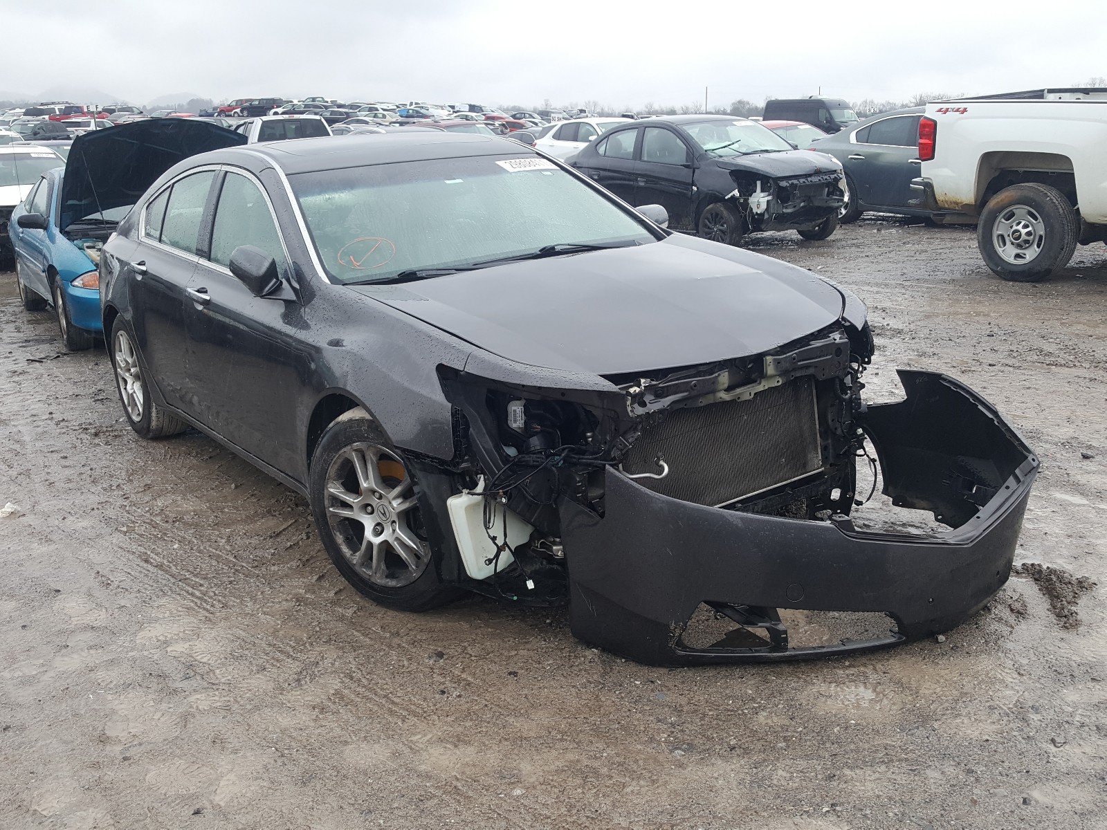 Acura Tl (2011)