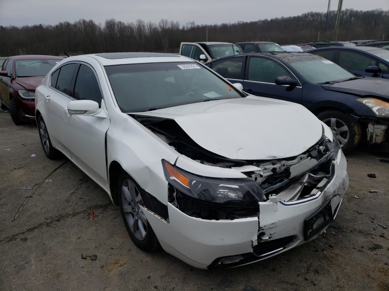 Acura Tl advance (2014)