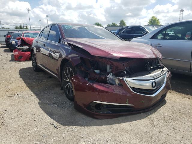 Acura Tlx advanc (2015)