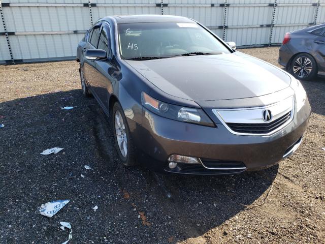 Acura Tl tech (2013)