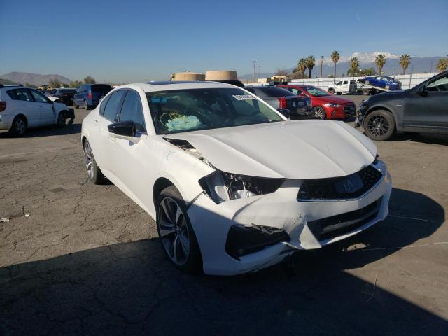 Acura Tlx advanc (2021)