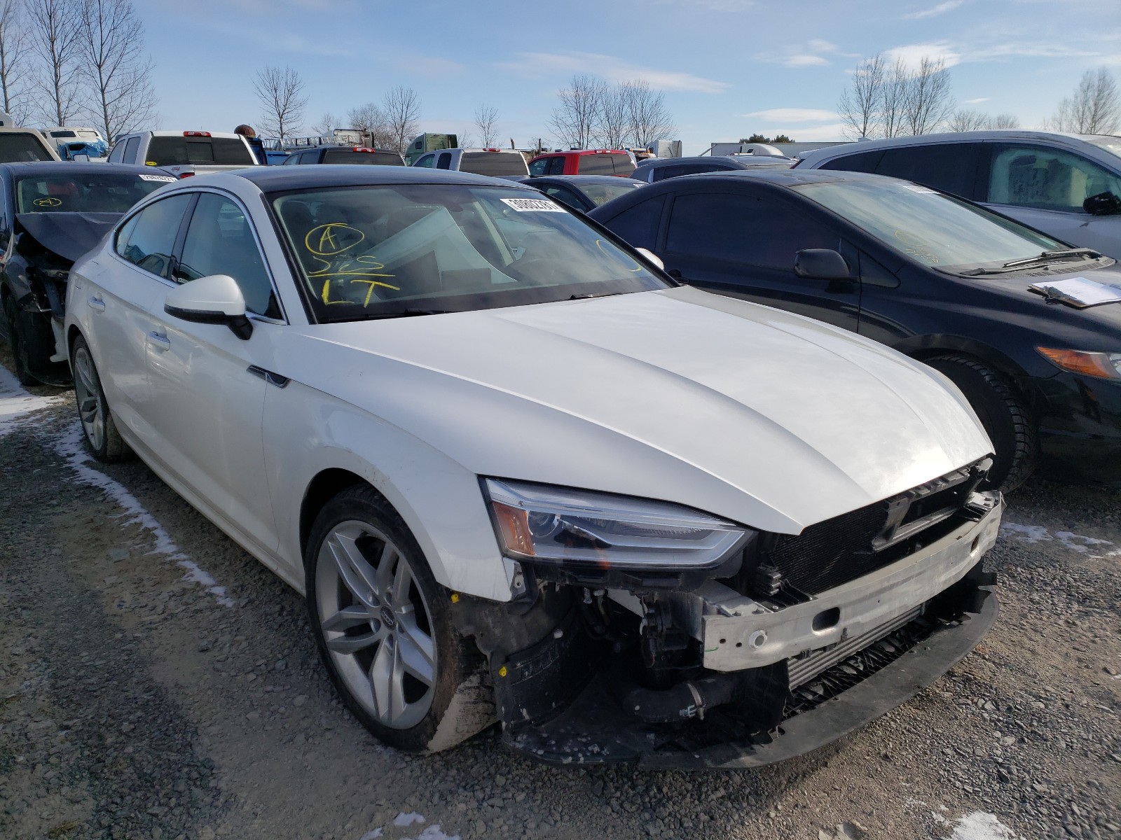Audi A5 premium (2019)