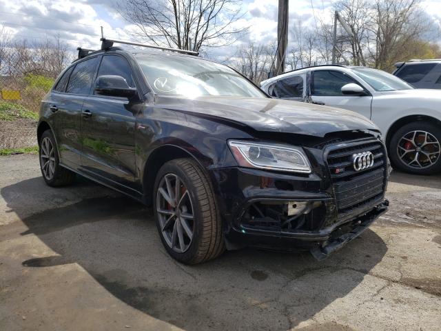 Audi Sq5 (2017)