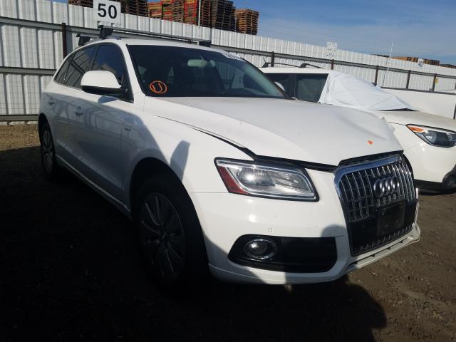Audi Q5 tdi (2013)