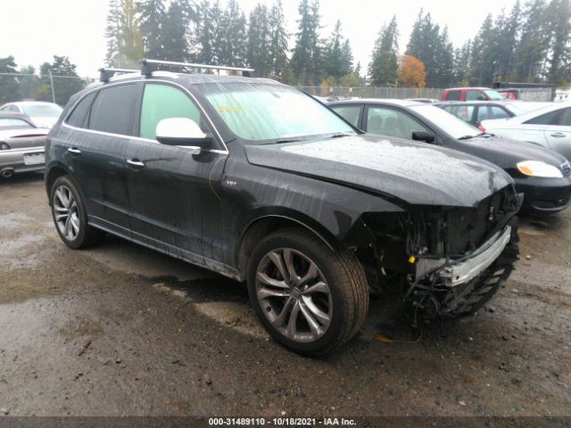 Audi Sq5 (2015)