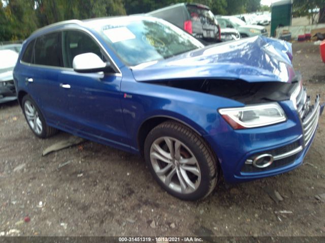 Audi Sq5 (2015)