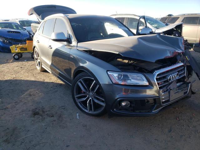 Audi Sq5 (2016)