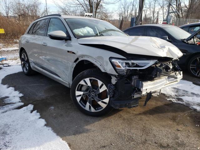 Audi E-tron pre (2021)