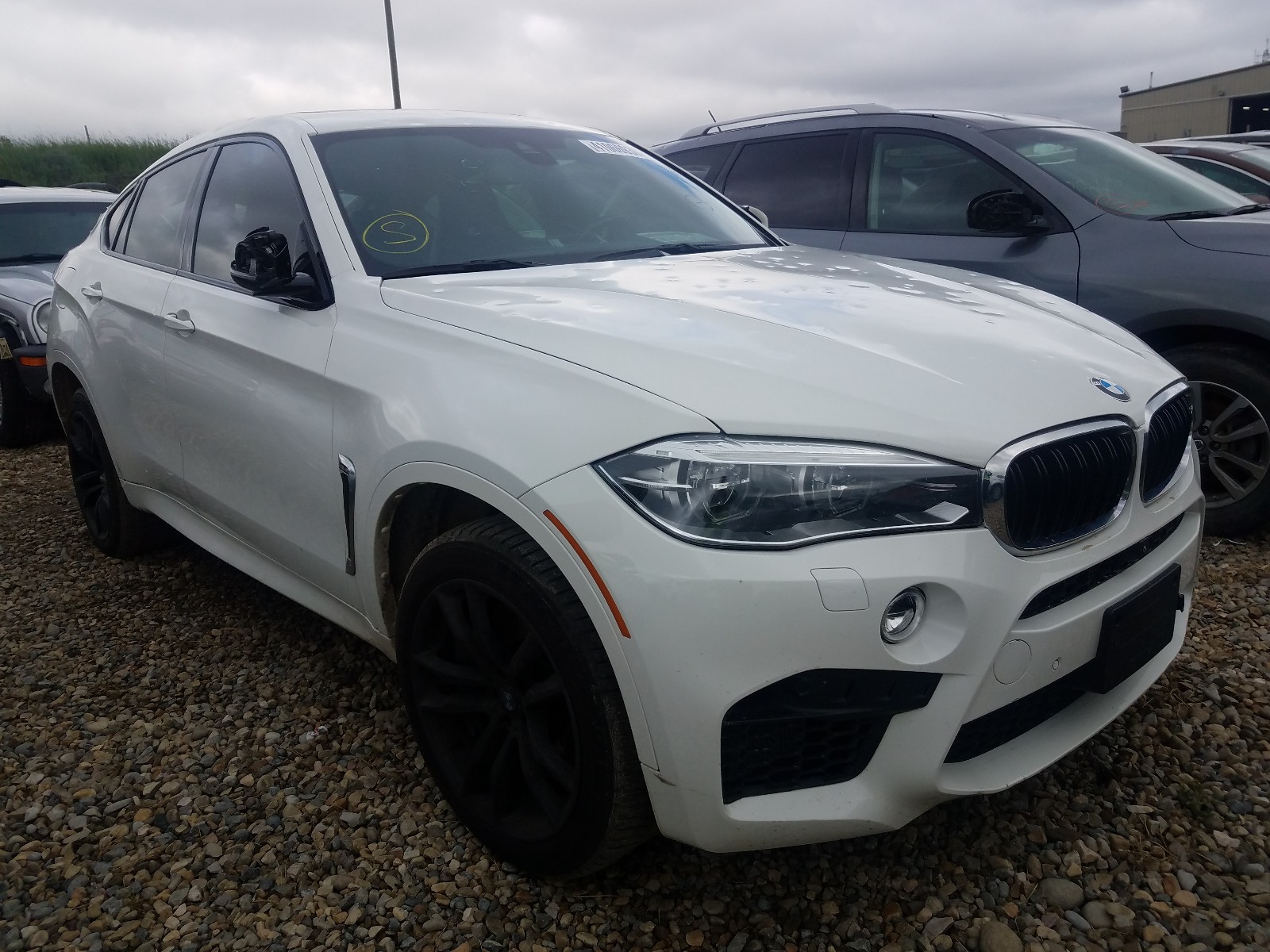 Bmw X6 m (2015)