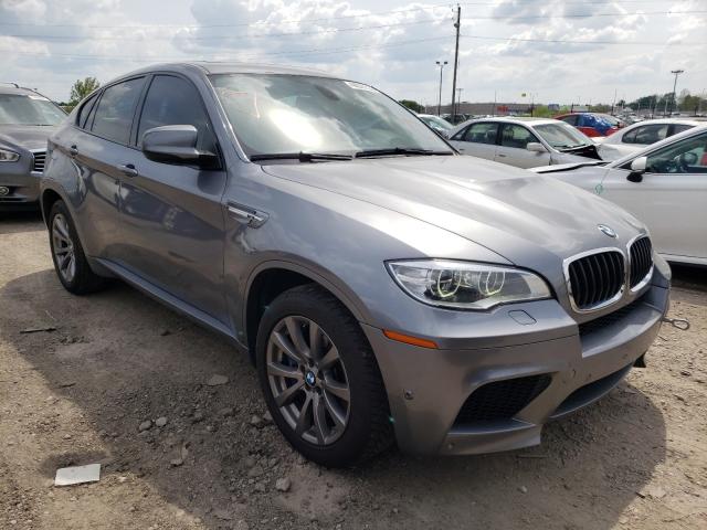 Bmw X6 m (2014)
