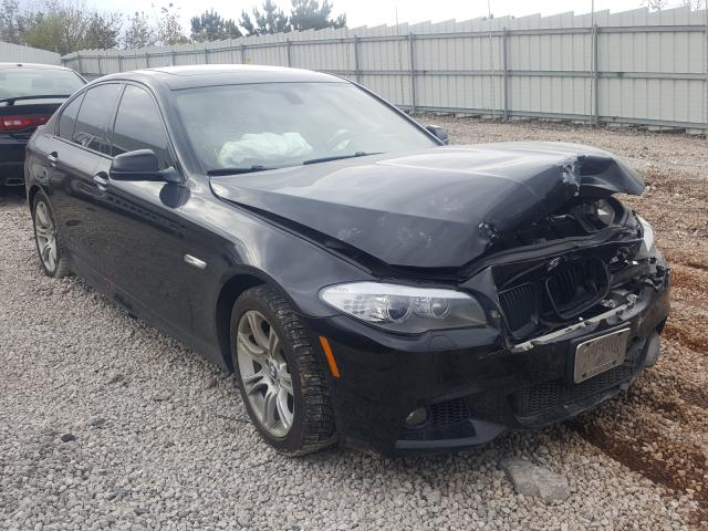 Bmw 528 i (2013)