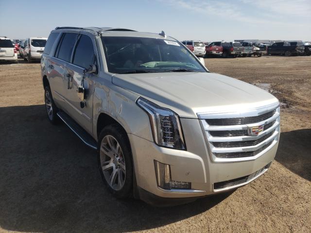 Cadillac Escalade l (2016)