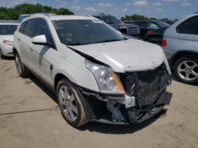 Cadillac Srx perfor (2010)