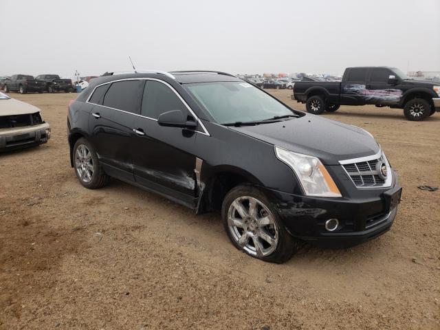 Cadillac Srx perfor (2011)