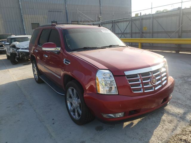 Cadillac Escalade l (2013)