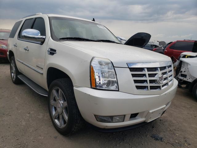 Cadillac Escalade l (2010)