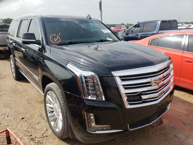 Cadillac Escalade esv (2019)