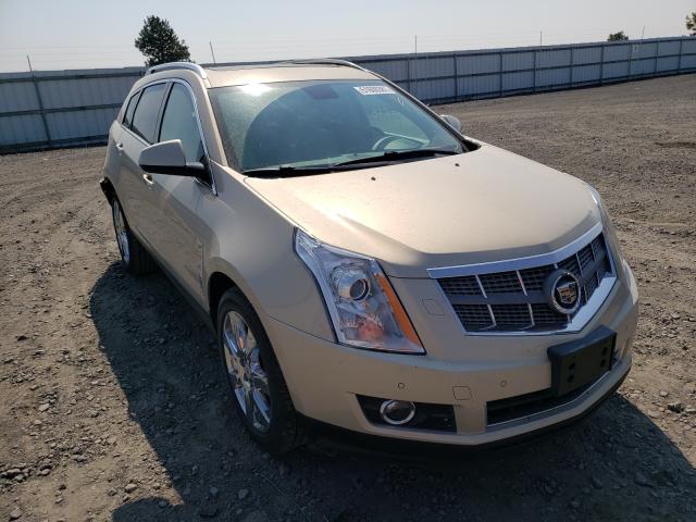 Cadillac Srx perfor (2010)