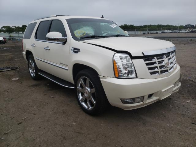Cadillac Escalade l (2013)