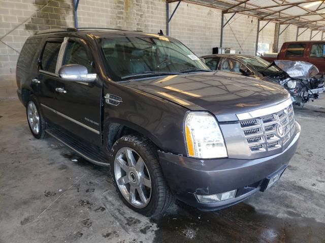 Cadillac Escalade l (2010)