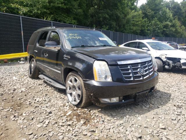 Cadillac Escalade l (2010)