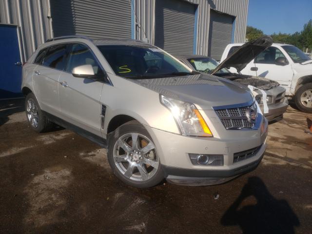 Cadillac Srx perfor (2010)