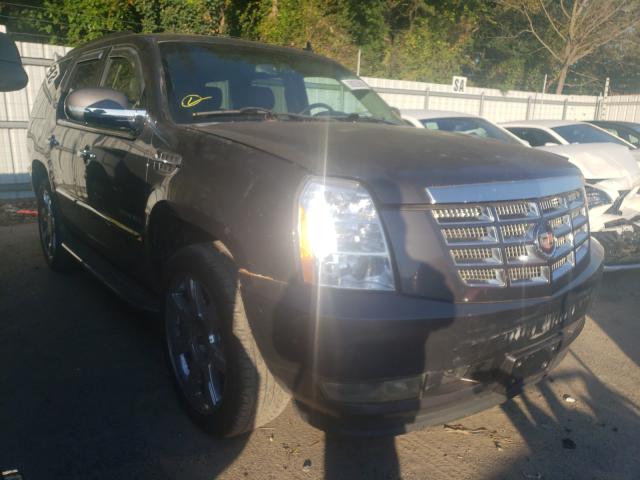 Cadillac Escalade l (2011)