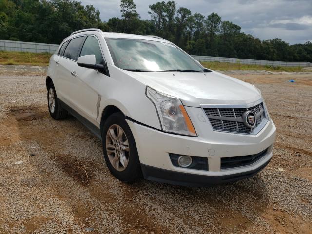 Cadillac Srx perfor (2010)