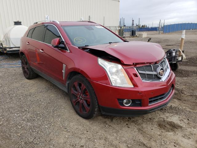 Cadillac Srx perfor (2010)