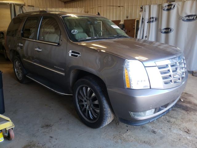 Cadillac Escalade l (2011)