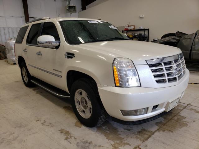 Cadillac Escalade l (2011)