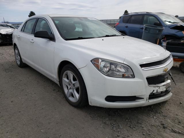 Chevrolet Malibu ls (2012)