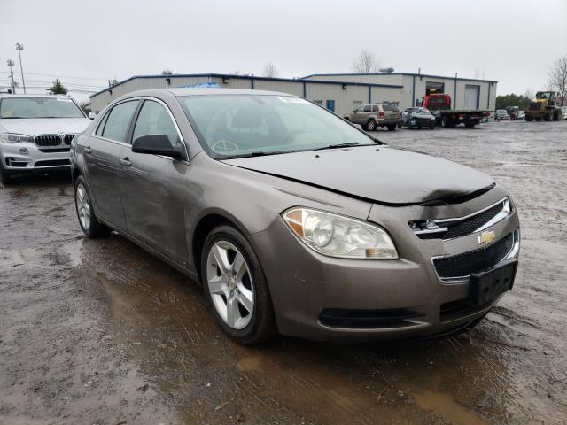 Chevrolet Malibu ls (2010)