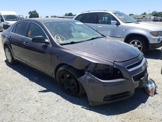 Chevrolet Malibu ls (2011)