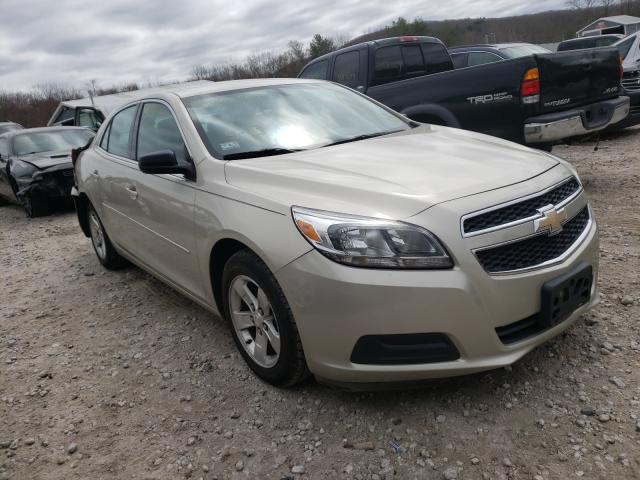 Chevrolet Malibu ls (2013)