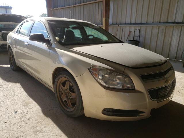 Chevrolet Malibu ls (2010)