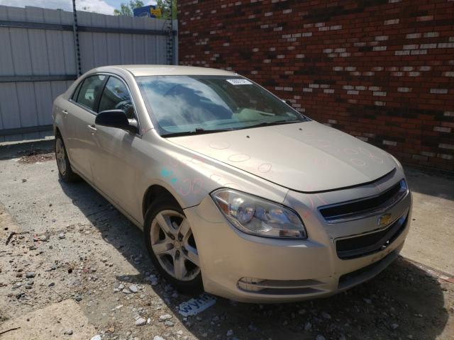 Chevrolet Malibu ls (2011)