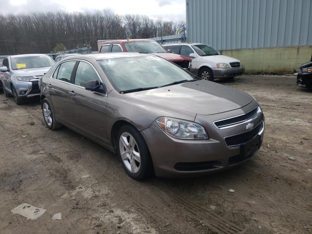 Chevrolet Malibu ls (2011)