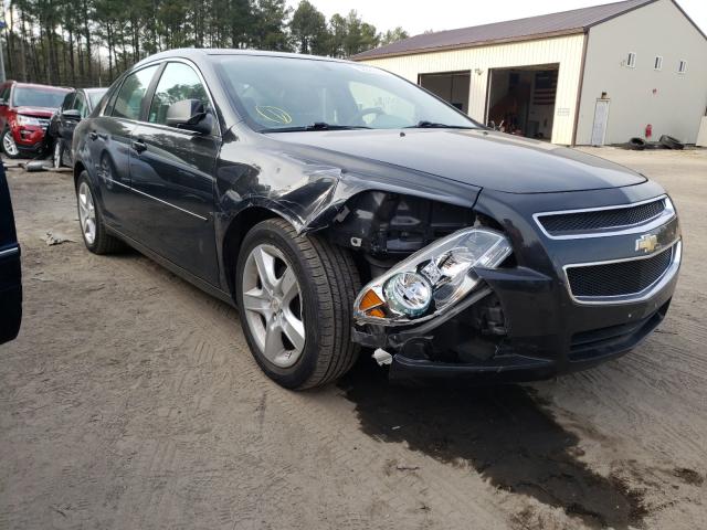 Chevrolet Malibu ls (2011)