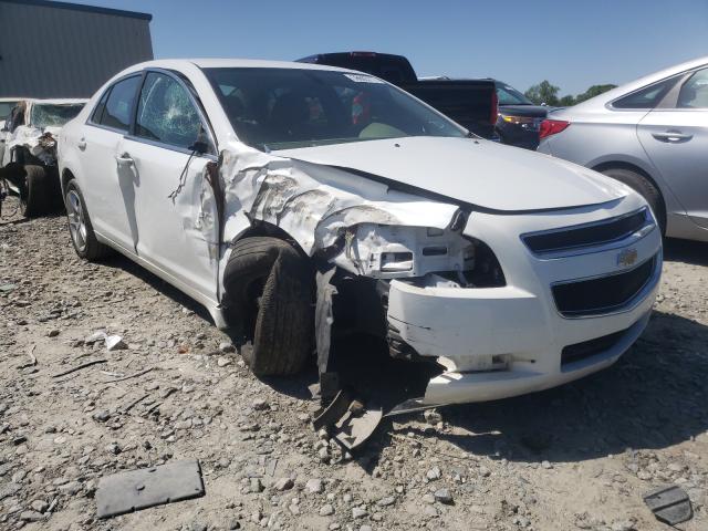 Chevrolet Malibu ls (2012)