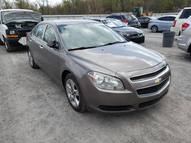 Chevrolet Malibu ls (2010)