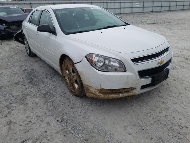Chevrolet Malibu ls (2012)