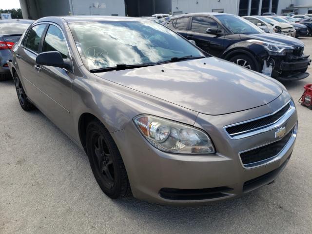Chevrolet Malibu ls (2012)