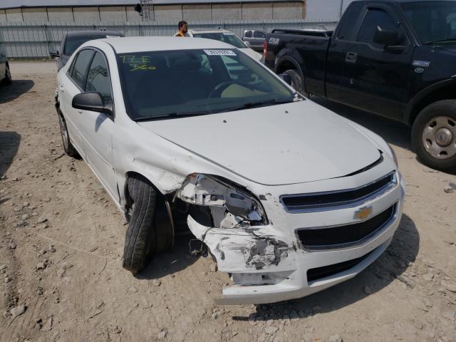 Chevrolet Malibu ls (2012)